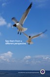 See them from a different perspective Poster